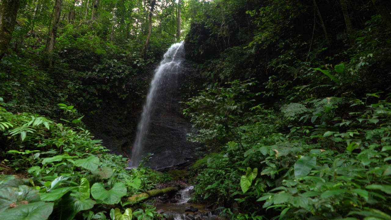 Cascata nella giungla amazzonica