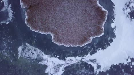 Aerial-birdseye-view-of-frozen-lake-Liepaja-during-the-winter,-blue-ice-with-cracks,-dry-yellowed-reed-islands,-overcast-winter-day,-wide-drone-shot-moving-forward