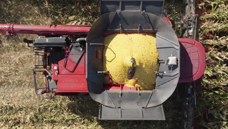 combine harvester harvesting corn in grain bin, aerial top down