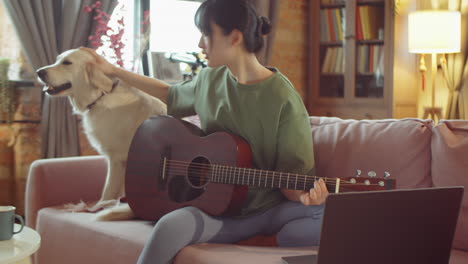 asian woman petting dog and learning guitar online at home