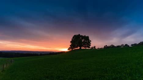 Das-Filmmaterial-Zeigt-Einen-Atemberaubenden-Zeitraffer-Des-Himmels-In-Den-Farben-Orange,-Blau-Und-Gelb-Mit-Einer-Großen-Eiche-Im-Hintergrund-Auf-Einem-Feld