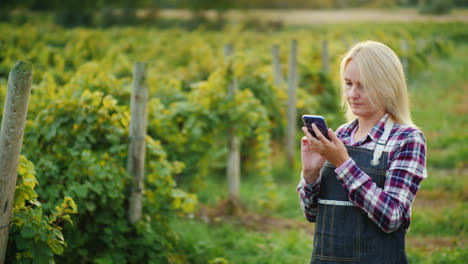 a woman farmer uses a smartphone on the background of his vineyard small business owner