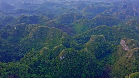 flying over the picturesque forested green hills in los haitises national park, dominican republic - aerial drone shot