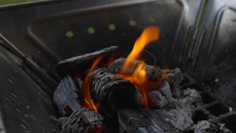 Cerrar-Un-Video-De-Fuego-De-Color-Naranja-Sobre-Cenizas-De-Madera-Una-Y-Otra-Vez