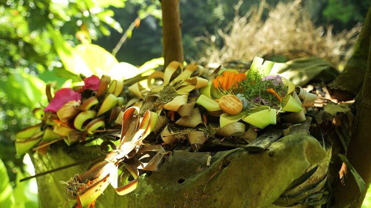 Ripresa a mano libera di offerte canang sari come segno di onore e gratitudine agli dei a Bali, in Indonesia, nel mezzo della giungla.