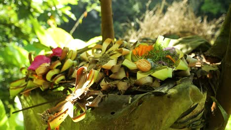 handheld shot of offerings caning sari as a sign of honor and gratitude to the gods on bali in indonesia in the middle of the jungle