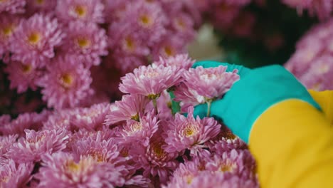 florist with latex gloves handling some pink flowers in a flower shop