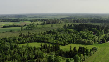 Vista-Aérea-De-Campos-Verdes-Y-Deforestación-En-El-Campo-Agrícola