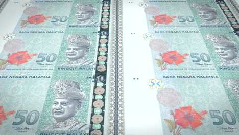 banknotes of fifty malaysian ringgit of malaysia, cash money, loop