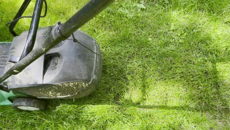 shot of a green meadow in the sunshine over which a lawnmower drives and mows the lawn