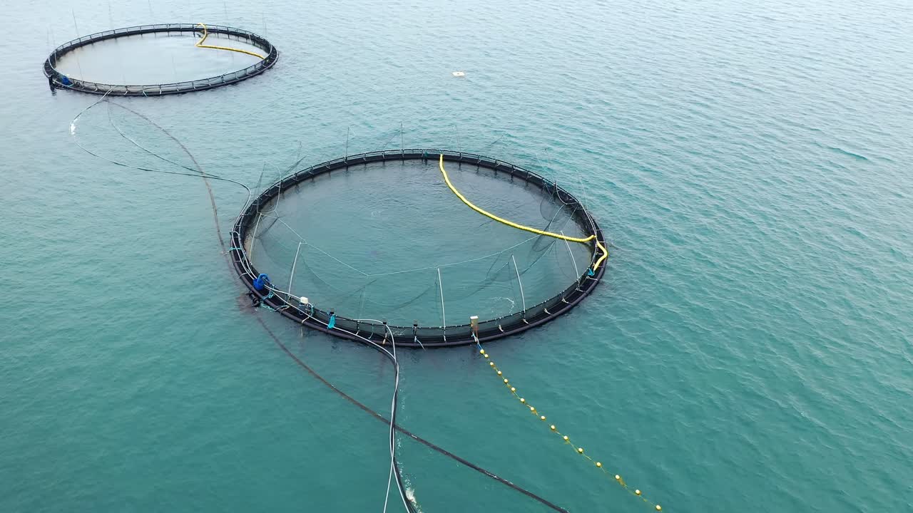 노르웨이에서 연어  ⁇ 시를 하는 공중 촬영