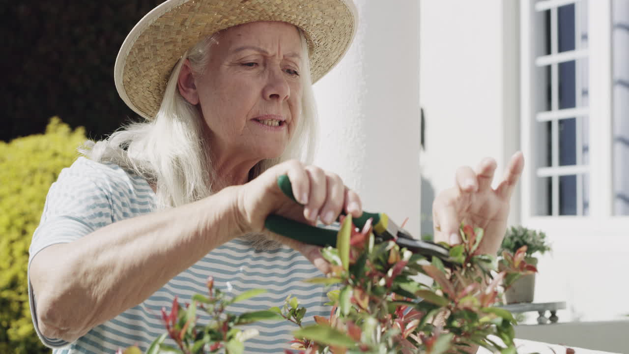 저는 대부분의 시간을 정원에서 보내고 있습니다. 그리고 저는 그것을 사랑합니다.