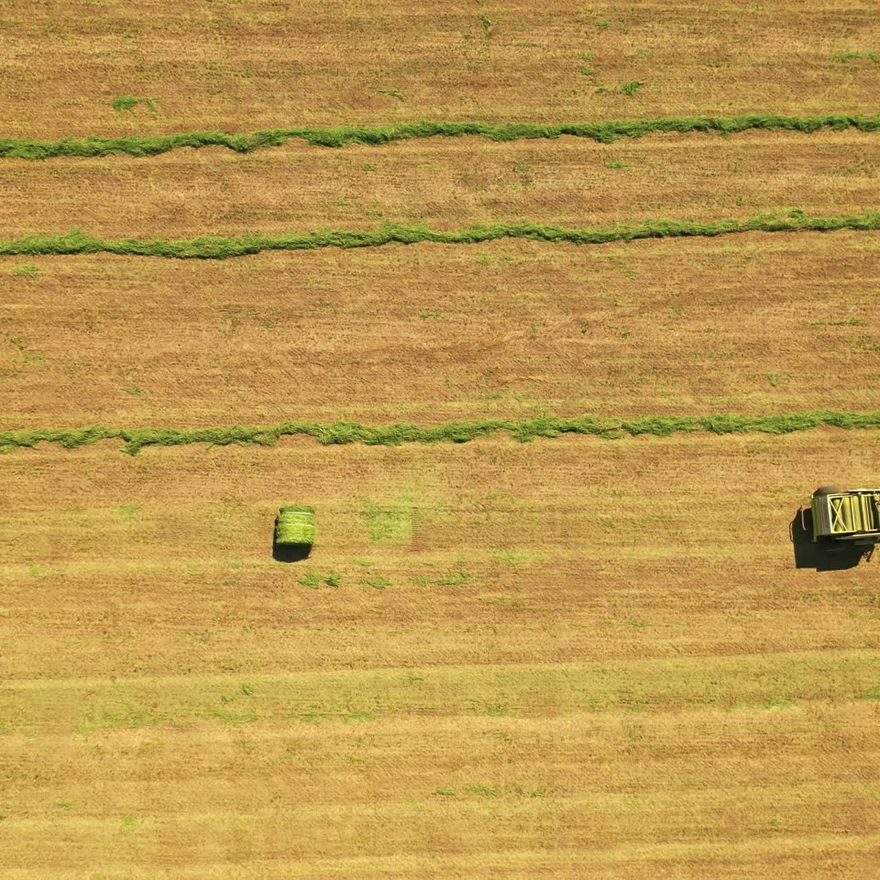 Top view of tractor pressing grass in the field. Aerial view of one round bale and agricultural machine working on a green meadow. Camera moves bottom up.