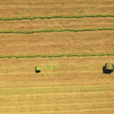 top view of tractor pressing grass in the field. aerial view of one round bale and agricultural machine working on a green meadow. camera moves bottom up.