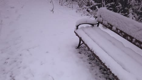 Banco-Del-Parque-Cubierto-De-Nieve-Congelada-En-La-Escena-De-Invierno-De-La-Reserva-Natural-De-Niebieskie-Zrodla,-Polonia