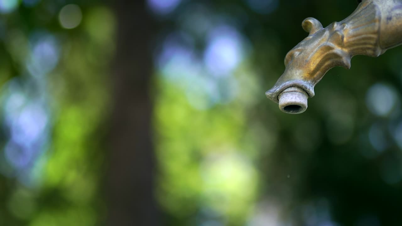 정원 안의 고대 철 에서 물이 흐르고, 깨한 물이 천천히 아지고, 작은 물방울이 표면에 거품을 만들고, 공중에 목마르고 있습니다.