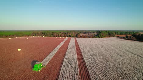 revealing green tractors enters the frame combining the cotton field