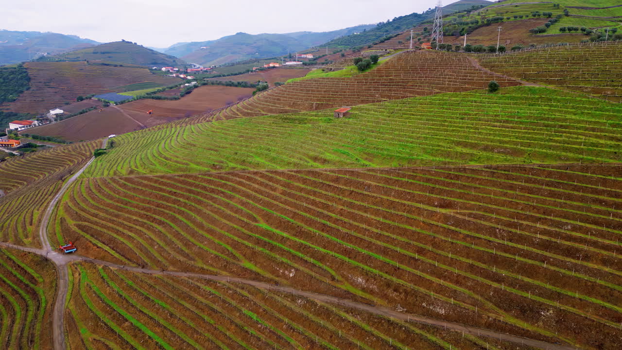 Campi terrazzati che ricoprono i pendii nella campagna. Vista aerea del paesaggio agricolo