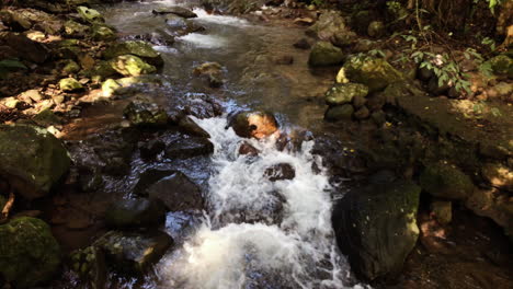 Slo-mo-Creek-Fließt,-Natürlicher-Brückenwasserfall-Springbrook,-Queensland