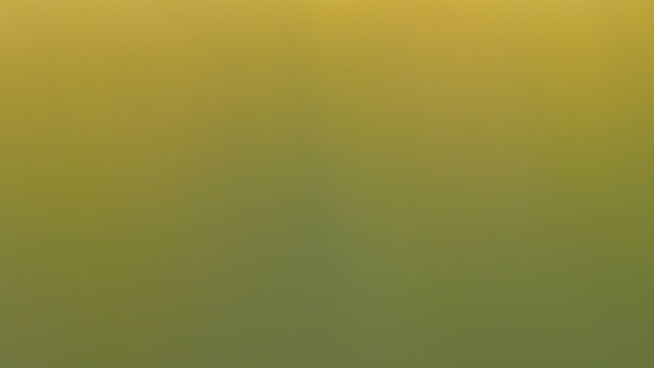 langosta descansando en un tallo de planta macro disparado