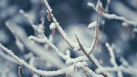 Der-Erste-Schnee-Fällt