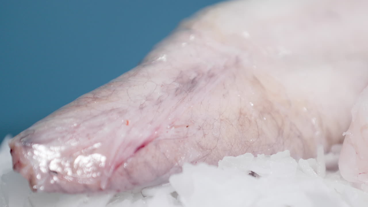 파란색 배경이 있는 얼음 위에 필렛된 링 피시