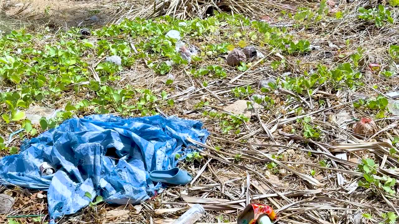 Lenta panoramica su bottiglie di plastica scartate, polistirolo e un telone blu che inquinano un litorale verde.