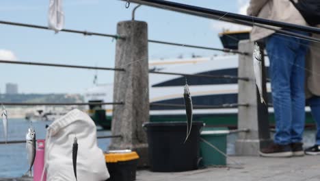 man fishing on a pier with bait on his line