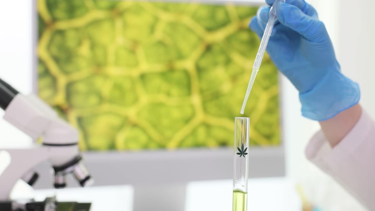 Cannabis Research and CBD Oil Extraction in the Laboratory