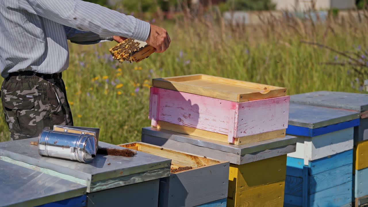 Beekeeping process. Apiarist inspecting bees near beehives. Beekeeper looking after bees on frame on the apiary.
