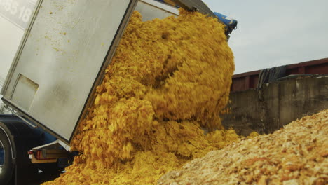 a cargo truck unloading orange peels onto a pile