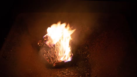 libro quemándose en el fuego timelapse