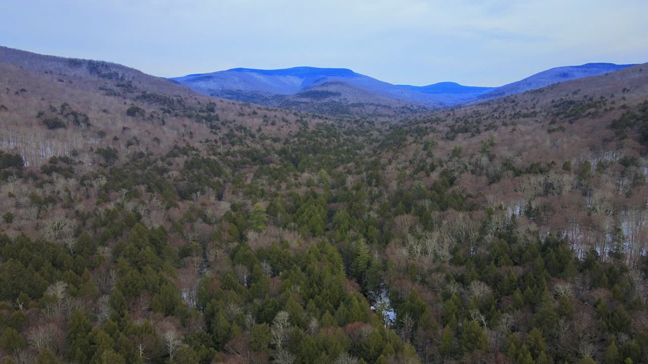 imágenes de drones del desierto remoto con un valle, bosques de pinos, dosel desnudo, montañas distantes y cubierta de nieve en el suelo del bosque en una nube, día de invierno