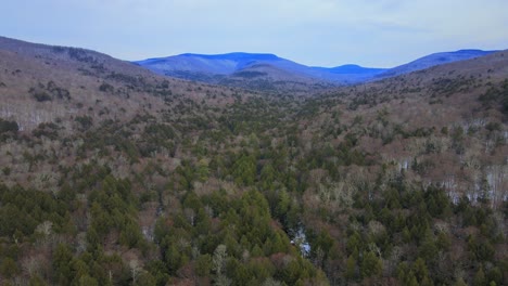 drone footage of remote wilderness with a valley, pine forests, bare canopy, distant mountains and snow cover on the forest floor on a cloud, winter's day