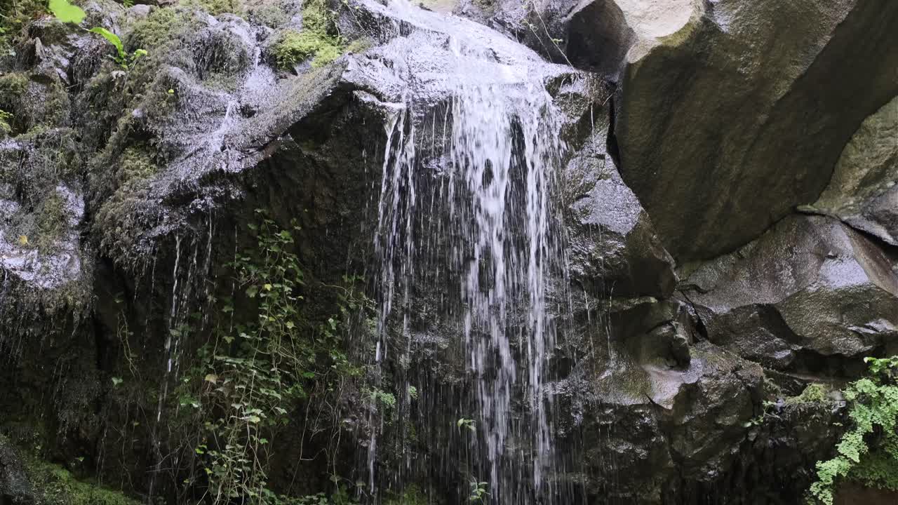 cascada en el bosque inclinada hacia arriba y hacia abajo vista de piedra grande y árbol 4k 30fps