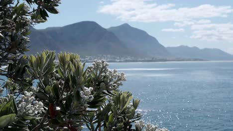 Hermanus-mountains-as-seen-from-the-old-harbour