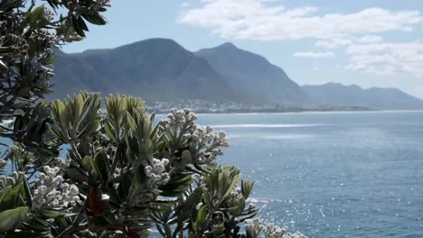 montañas de hermanus vistas desde el puerto viejo