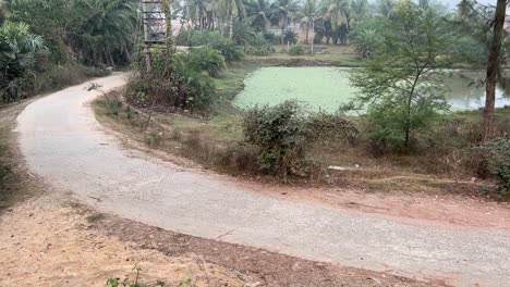 Profile-view-of-an-empty-curved-pathway-with-a-pond-filled-with-algae-at-a-village-in-Kolkata,-India