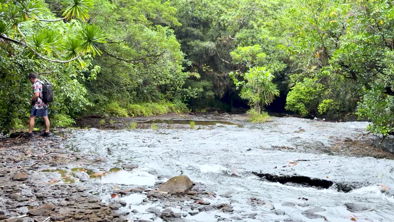 Un'ampia inquadratura mostra un uomo che scatta foto accanto a un fiume poco profondo in una lussureggiante foresta pluviale.