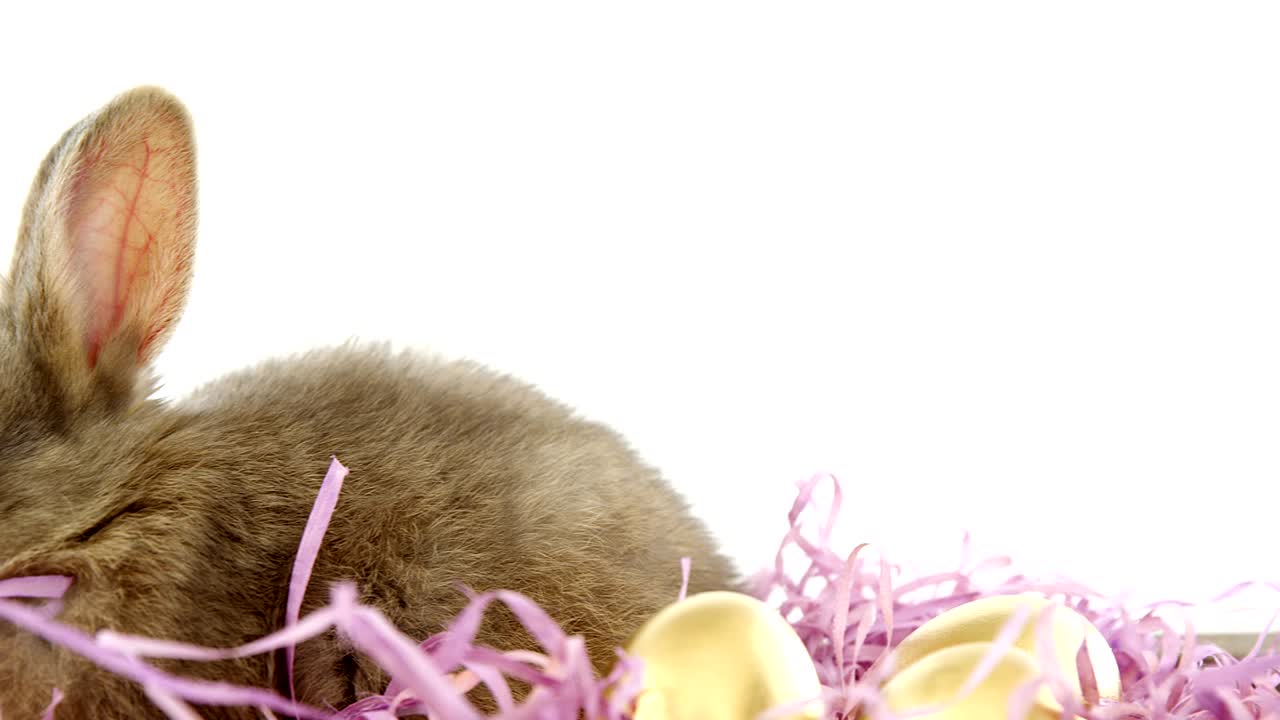 Ovos de Páscoa dourados com coelho da Páscoa em caixa