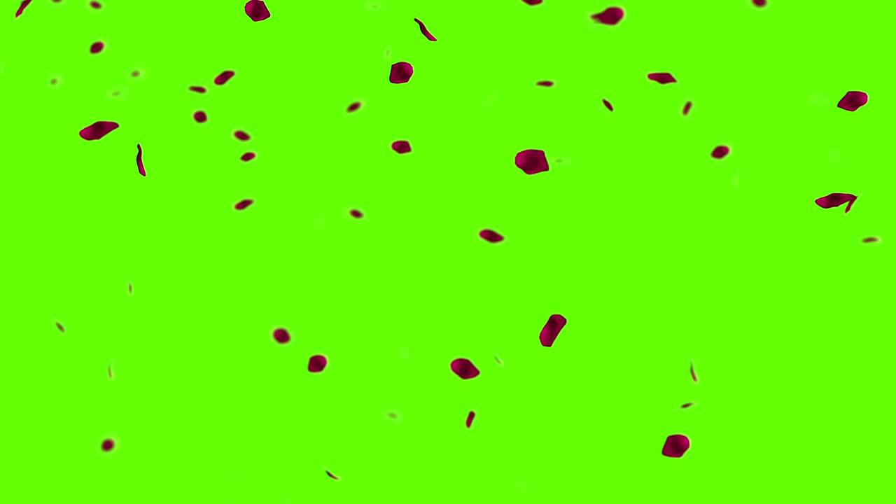 크로마 키, 녹색 화면 배경, 휴일 사랑, 관계 및 발렌타인 데이에 날아가는 빨간 장미 잎자루