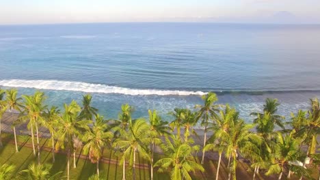 flying over palm trees and across the ocean