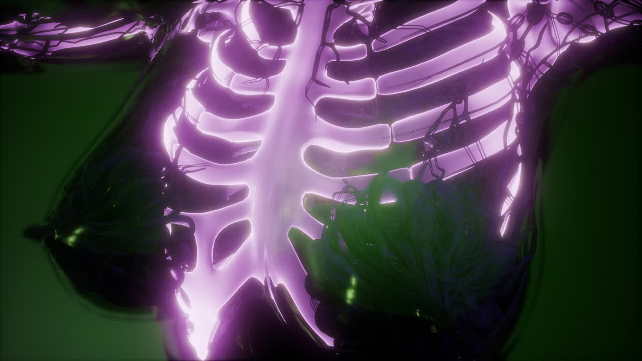 눈에 띄는 골격  ⁇ 가 있는 인간의 몸