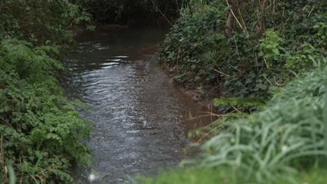 Un-Arroyo-Balbuceante-En-El-Campo-De-Somerset