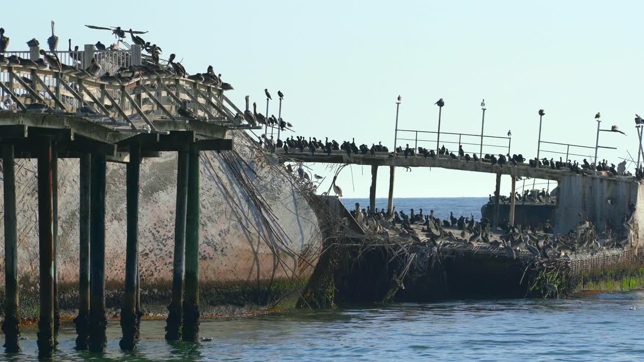 Seacliff State Beach in Santa Cruz California is known for its fishing pier and the sunken SS Palo Alto, a concrete ship built in 1917 at the U
