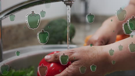 animación de iconos de pimienta sobre hombre caucásico lavando verduras