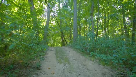 double time, point of view while driving an off road vehicle on a trail thru the woods on a summer adventure