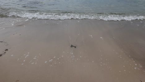 Pequeñas-Olas-Rompiendo-En-Una-Orilla-Arenosa-Del-Mar