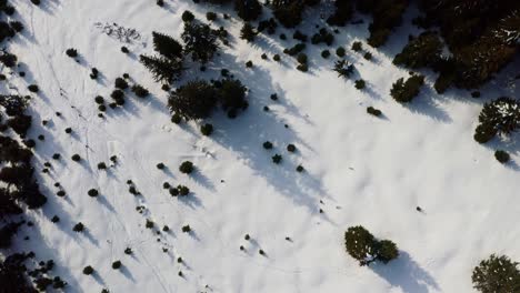 las montañas iezer-papusa con nieve y árboles esparcidos, de día, vista aérea