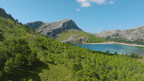 serene mountain lake in a sunny landscape